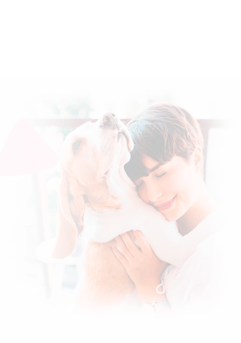 Cuidamos las articulaciones de tu mascota