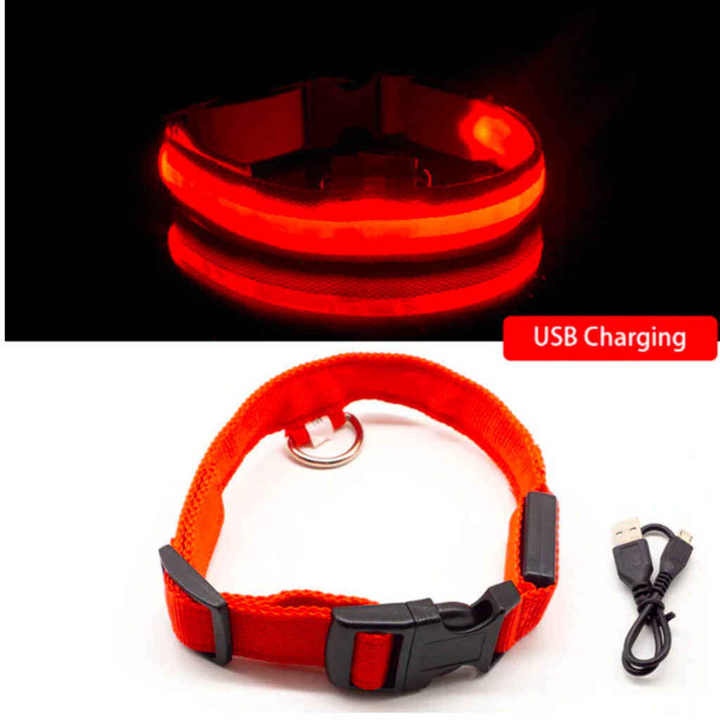 Collar LED / Carga USB