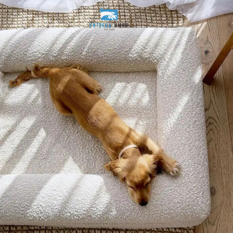 Cama nube Comfort
