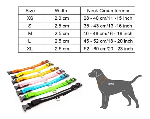 Collar LED / Carga USB Previene extravios