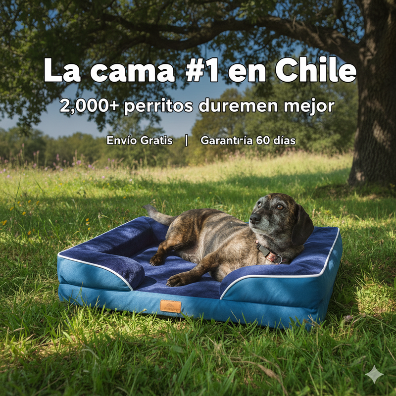 Las Camas más Cómodas